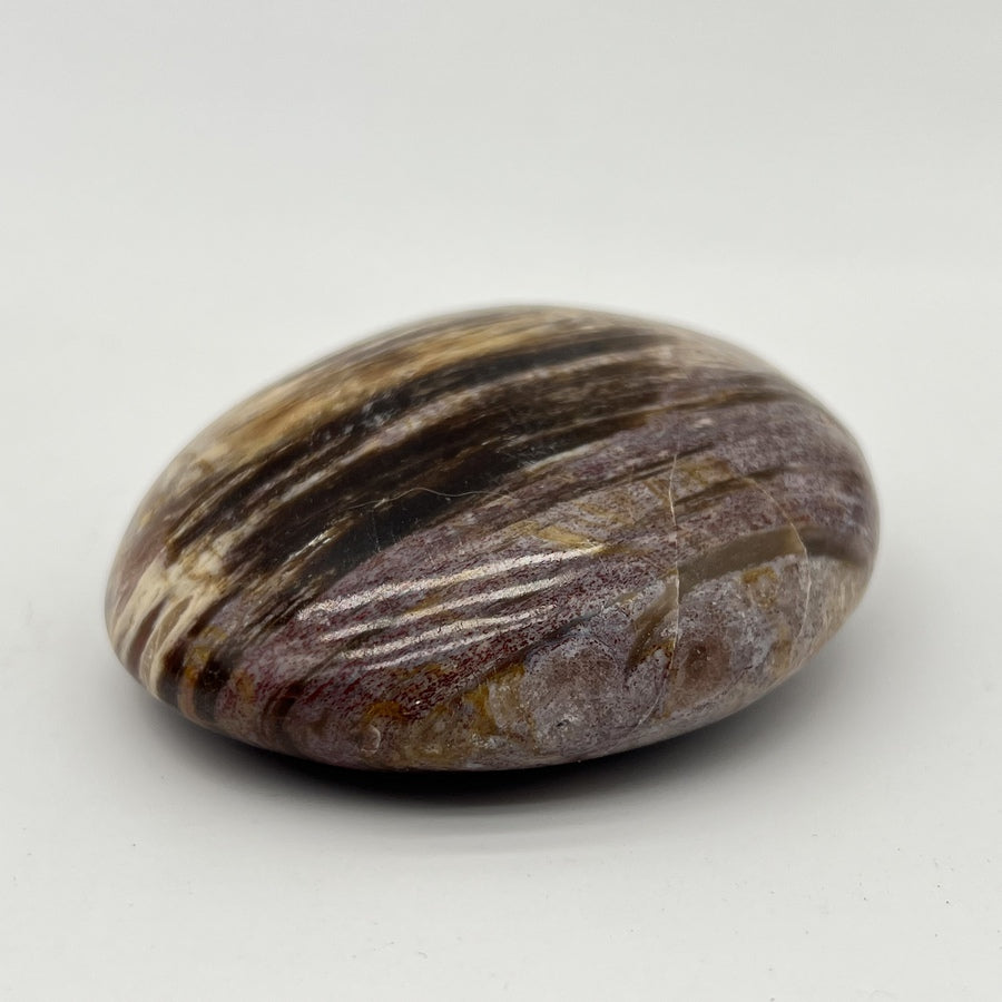 Galet "Patience" en Bois Fossile