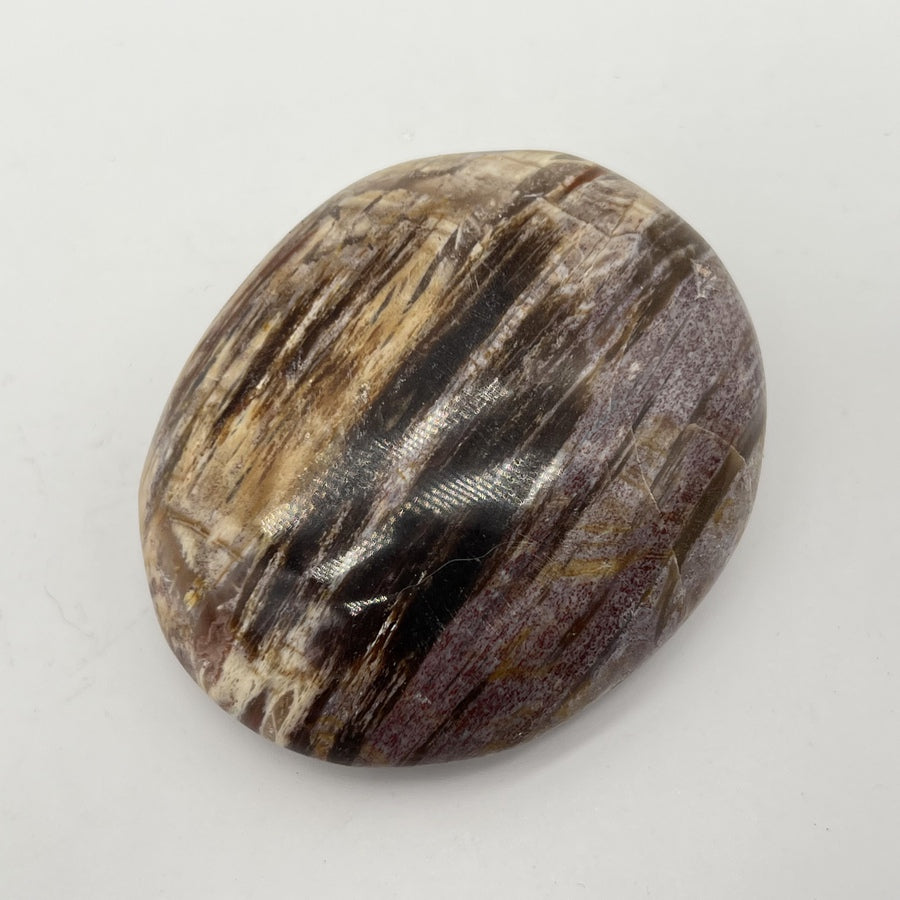 Galet "Patience" en Bois Fossile