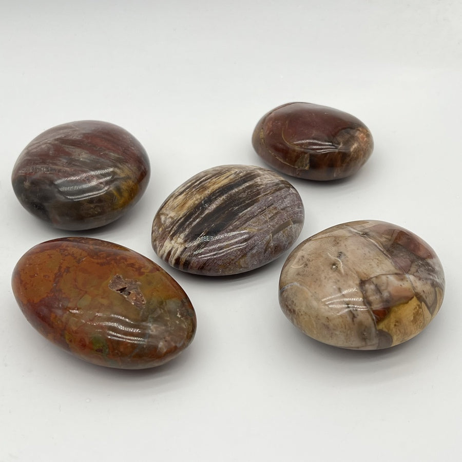 Galet "Patience" en Bois Fossile