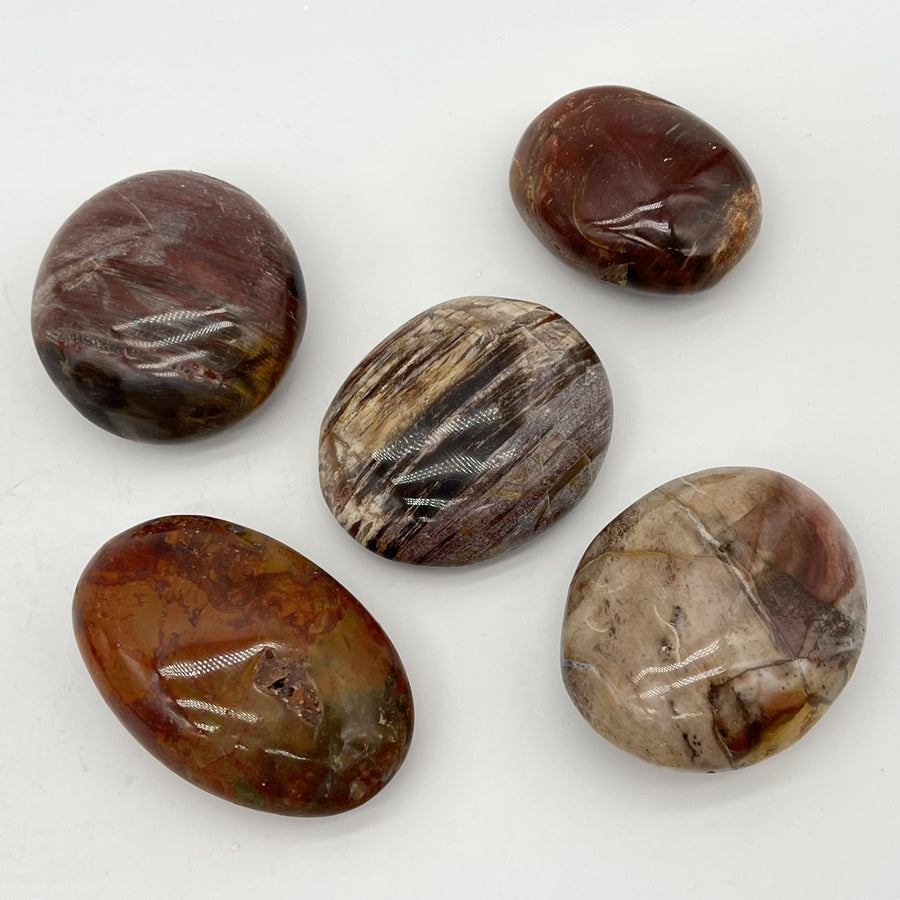 Galet "Patience" en Bois Fossile