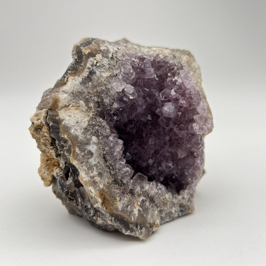Géode d'Améthyste - Taille M - 519g - GAM1031 - AAA+