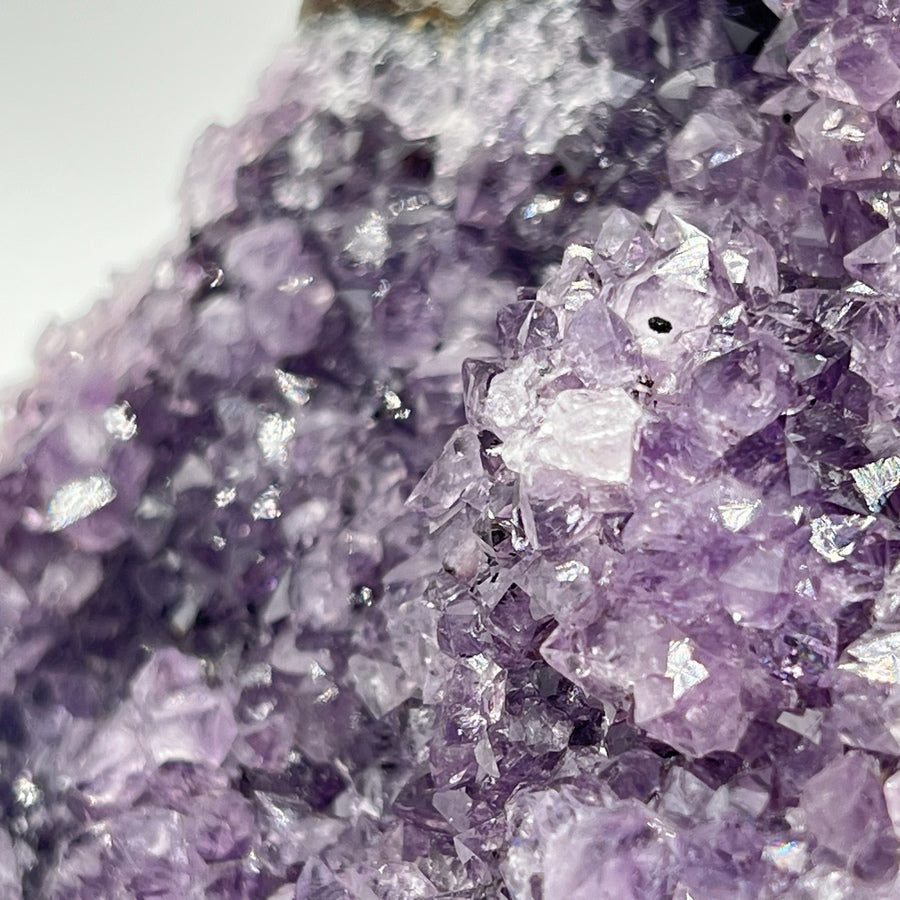 Géode d'Améthyste - Taille L - 1,43kg - GAL880 - AAA+