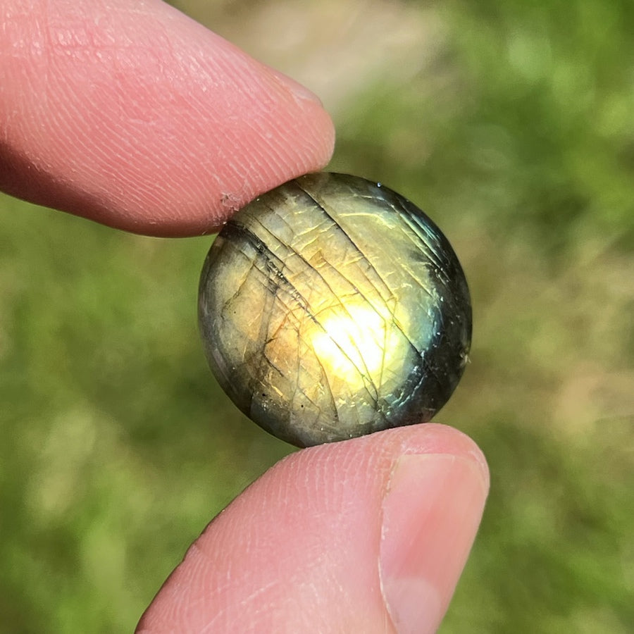 Cabochon en Labradorite - CLABXTRA050
