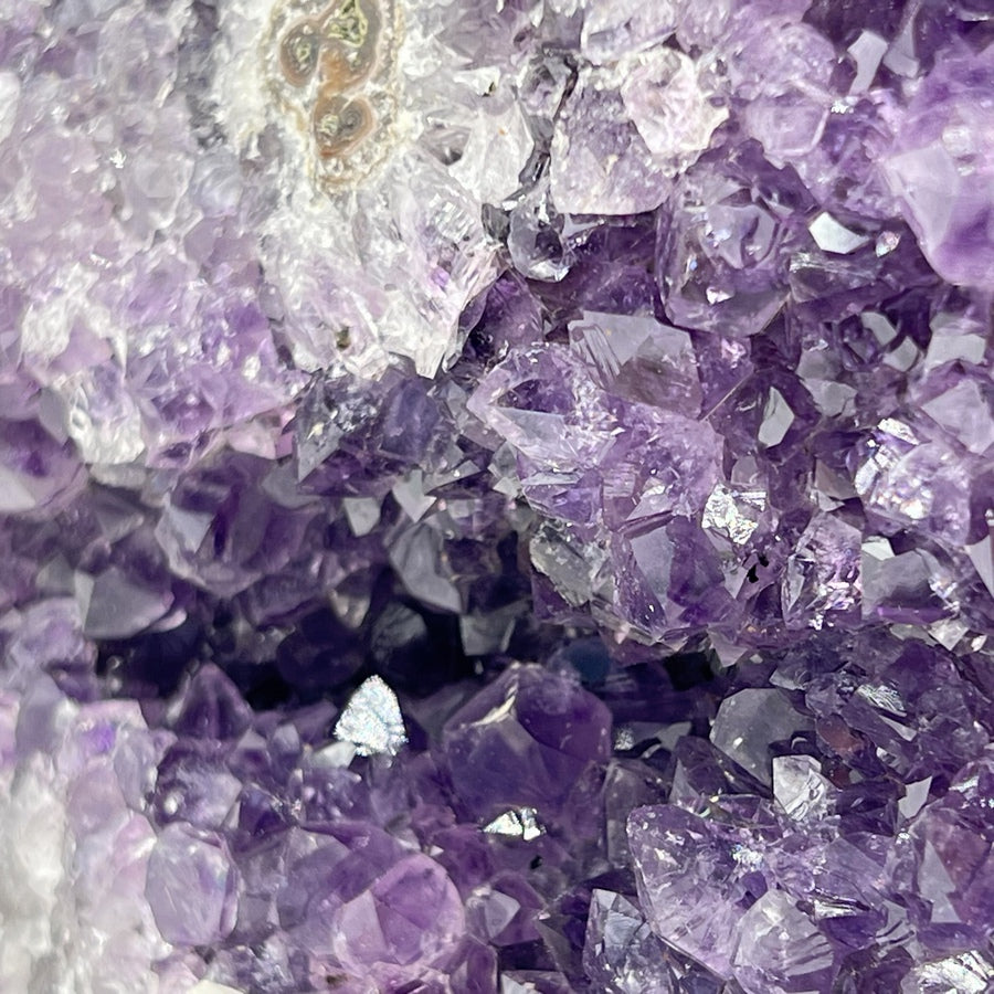 Géode d'Améthyste - Taille L - 1,26kg - GAL878 - AAA+