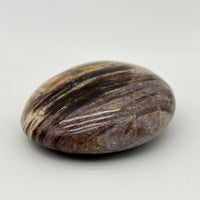 Galet "Patience" en Bois Fossile