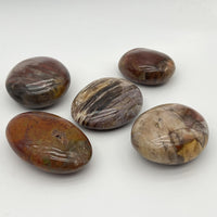 Galet "Patience" en Bois Fossile