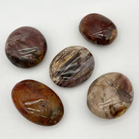 Galet "Patience" en Bois Fossile