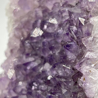 Géode d'Améthyste - Taille S - 467g - GAS859 - AAA+