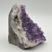 Géode d'Améthyste - Taille S - 316g - GAS863 - AAA+