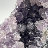 Géode d'Améthyste - Taille M - 589g - GAM994 - AAA+