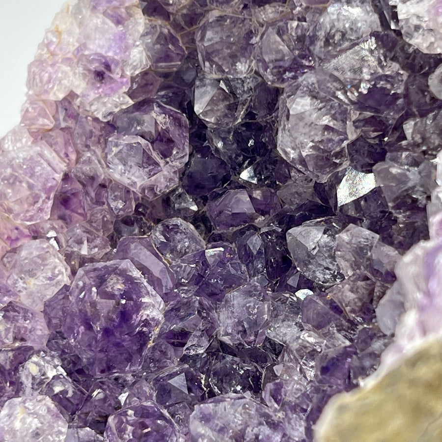 Géode d'Améthyste - Taille M - 573g - GAM996 - AAA+