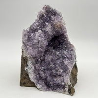 Géode d'Améthyste - Taille M - 636g - GAM1000 - AAA+