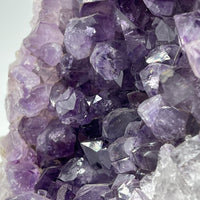 Géode d'Améthyste - Taille L - 1,35kg - GAL884 - AAA+