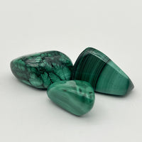 [RARE] Lot de Malachite "Transformation" - LOTMALA092
