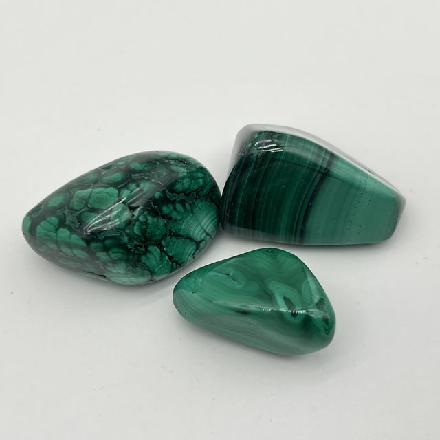 [RARE] Lot de Malachite "Transformation" - LOTMALA092