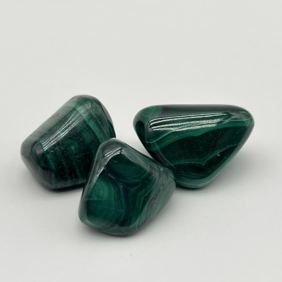 [RARE] Lot de Malachite "Transformation" - LOTMALA093