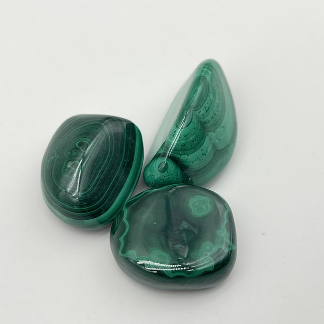 [RARE] Lot de Malachite "Transformation" - LOTMALA095