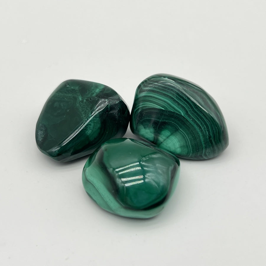 [RARE] Lot de Malachite "Transformation" - LOTMALA096
