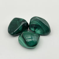 [RARE] Lot de Malachite "Transformation" - LOTMALA096