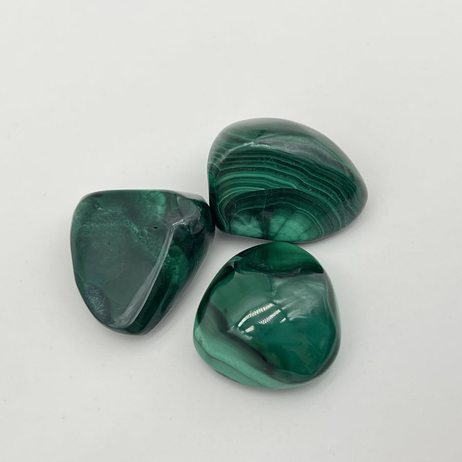 [RARE] Lot de Malachite "Transformation" - LOTMALA096