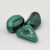 [RARE] Lot de Malachite "Transformation" - LOTMALA097