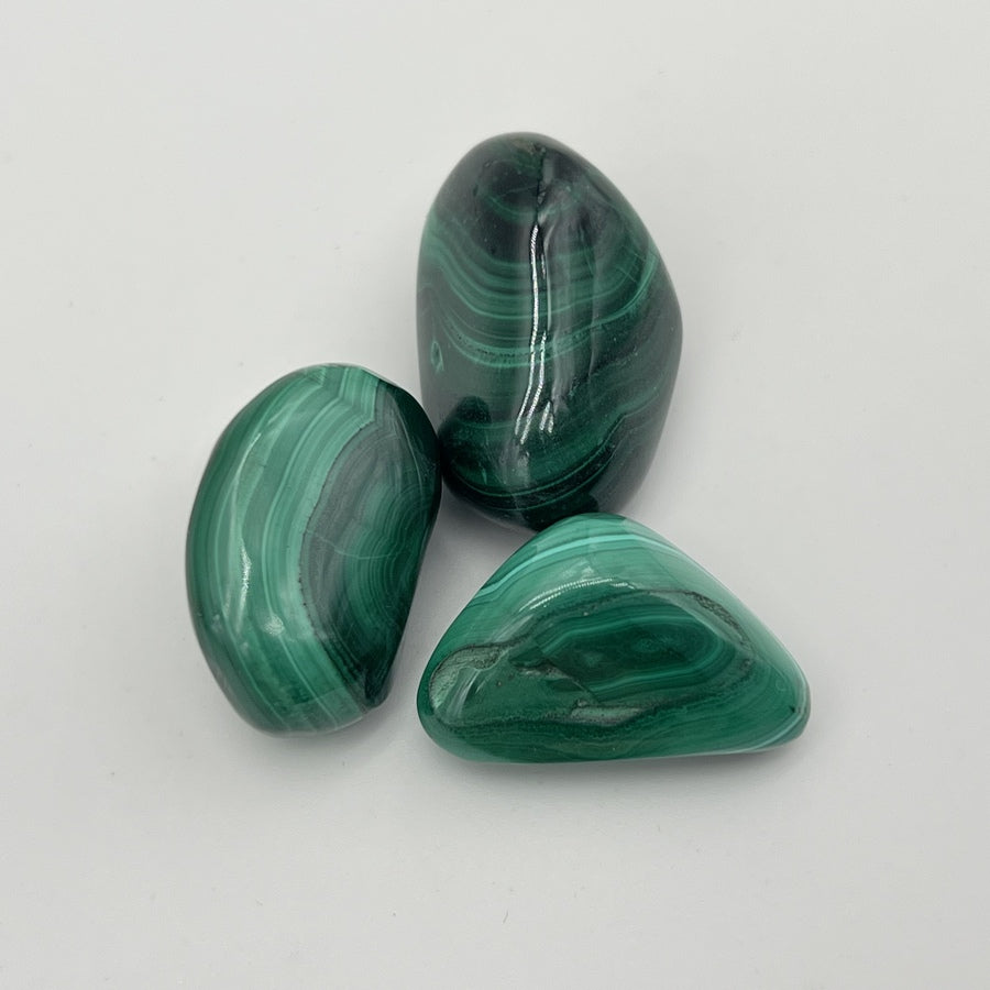 [RARE] Lot de Malachite "Transformation" - LOTMALA097