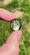 Cabochon en Labradorite - CLABXTRA050