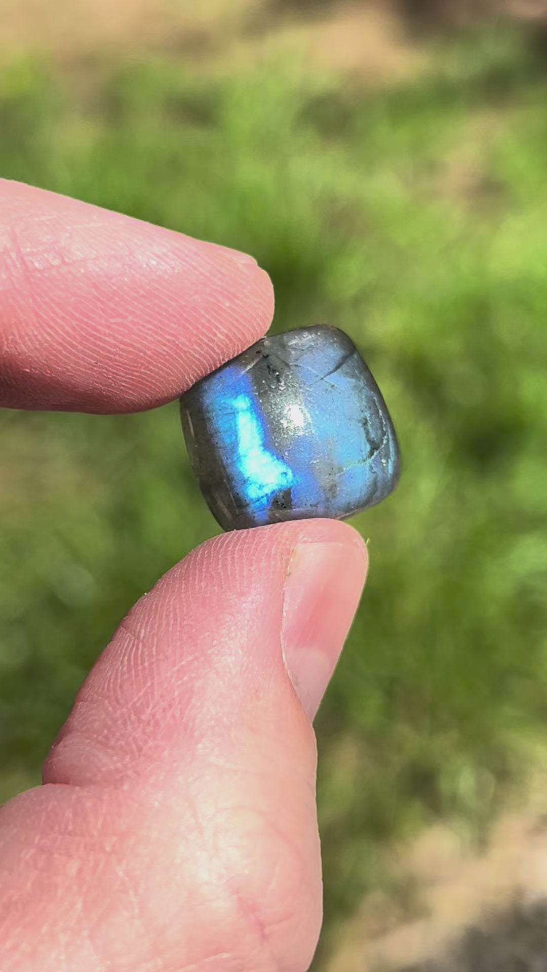 Cabochon en Labradorite - CLABXTRA058