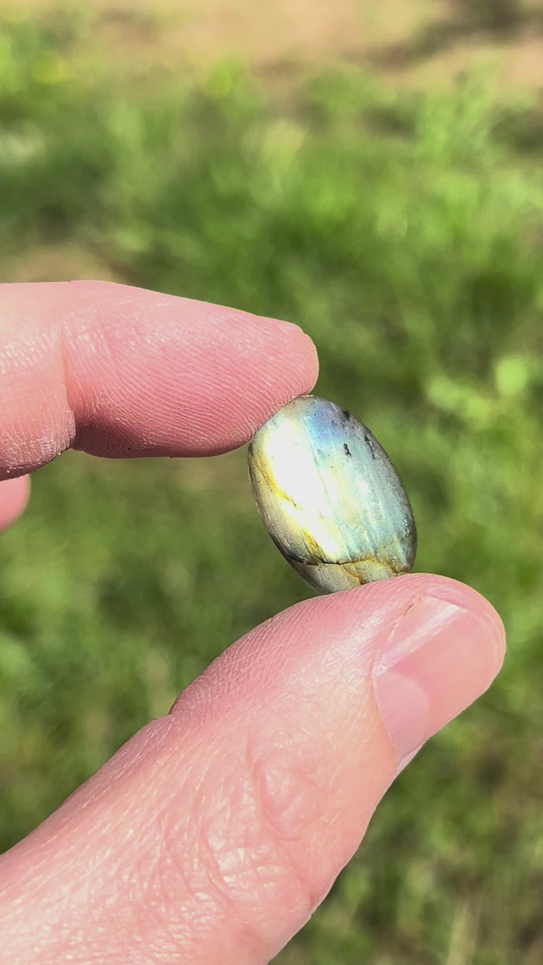 Cabochon en Labradorite - CLABXTRA054
